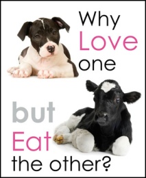 why-love-one-calf-and-puppy.jpg